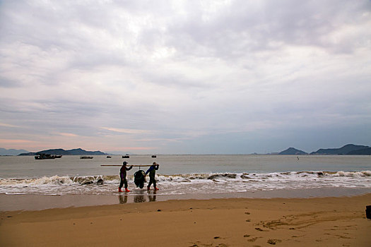 soi câu 366