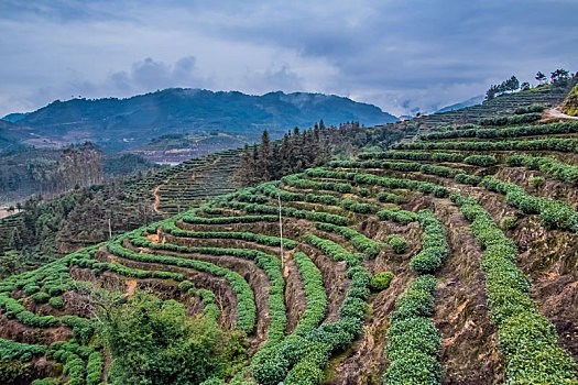 cách đánh lô hiệu quả