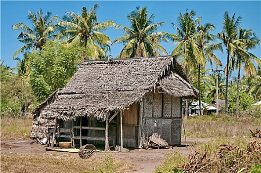 xổ số trực tiếp ba đài
