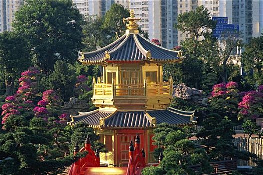 sổ kết quả 30 ngày