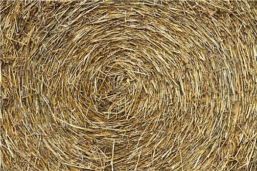 xổ số đài minh ngọc