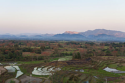 xổ số đồng