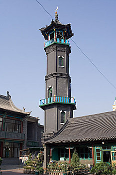 bach thu lo mien phi