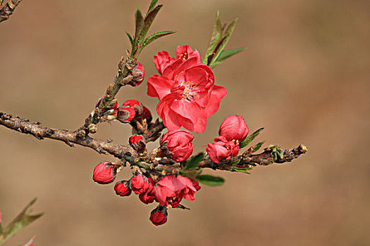 dự đoán xs