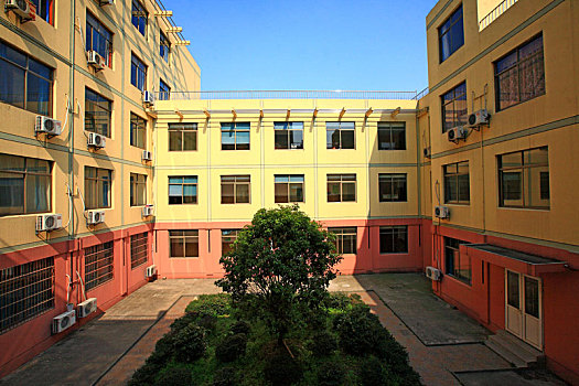 lo bach thu khung 5 ngay