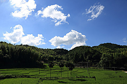 du doan xo so 3 miền