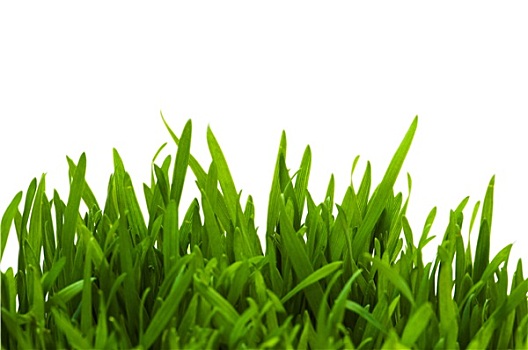 tỷ lệ ca cuoc