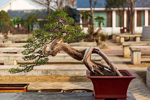 dự đoán xổ số miền bắc ngày mai