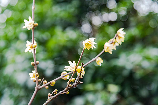 phân tích lô đề