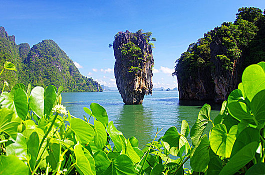 soi cau 8585