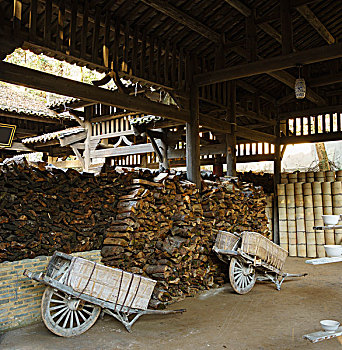 soi cau rong bach kim mien phi