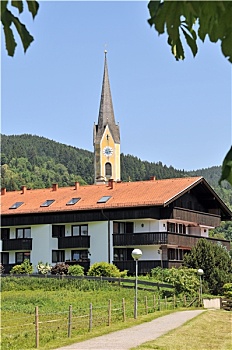 soicau88