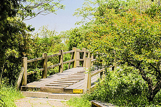soi cầu