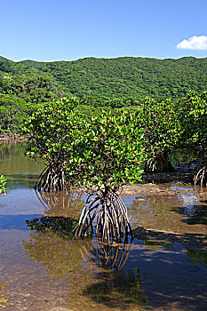 xsmn thu bay hang tuan
