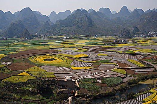 soi cau mb minh ngoc
