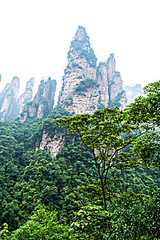 soi cau 247 khung 3 ngay