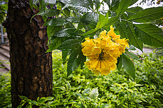 xổ số chủ nhật