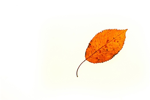 cách đánh lô luôn thắng