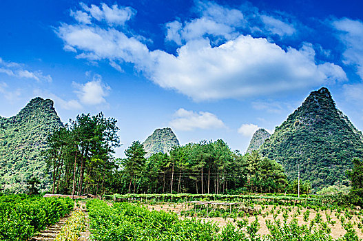 trực tiếp xổ số kiên giang