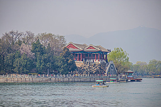 rong bach kim 888