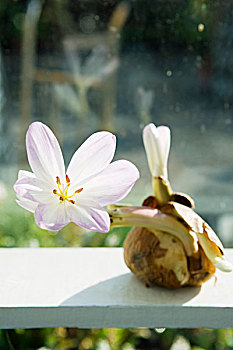 cách đánh đề đầu đuôi