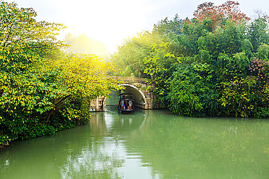 bạch thủ lô khung 5 ngày