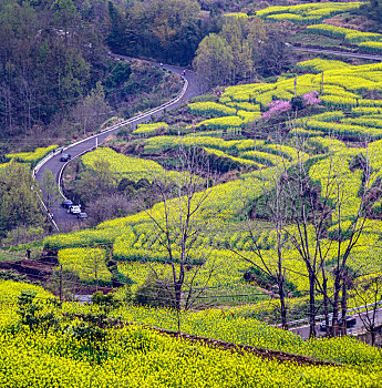 cầu bạch thủ lô