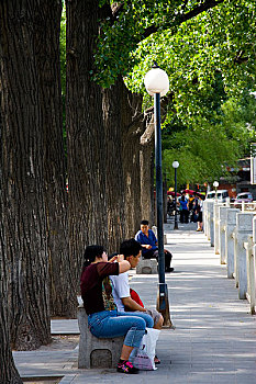 soi cau bach thu khung 5 ngay