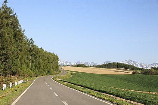 xổ số miền nam thứ năm hàng tuần