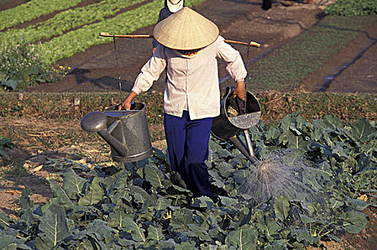 chốt lô miền bắc hôm nay