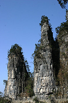 dự đoán miền bắc