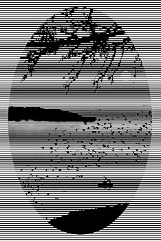 kqxs vinh lông