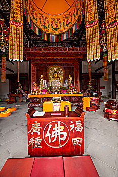 soi lo bach thu