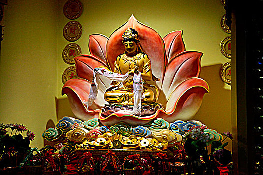 cầu số đề