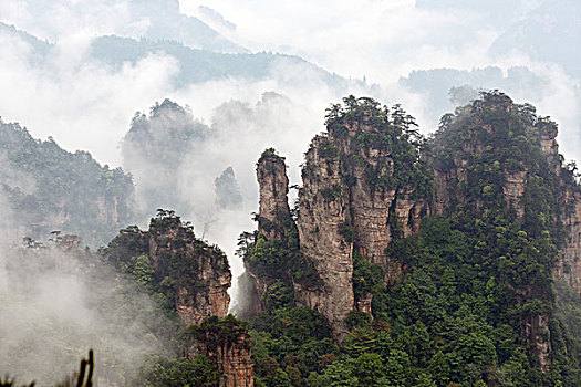 soi cau bach thu mien bac mien phi hom nay