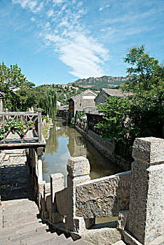 sách chọn gà đá