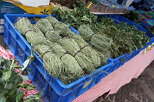 soi cầu bạch thủ 286