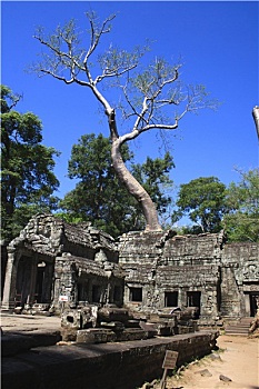 xổ số gia lai