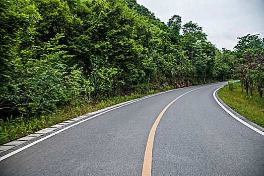 bạch thủ đề ngày mai